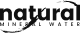 team icon